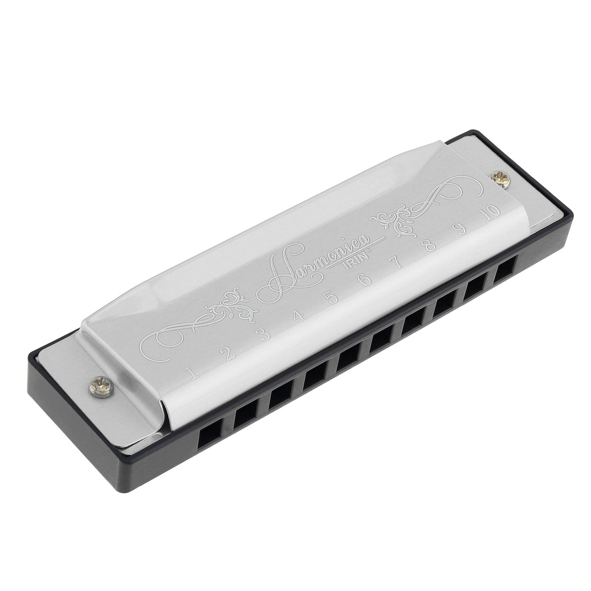 Silver 10-hole diatonic harmonica in C with a black protective case