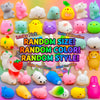 A collection of various squishy fidget toys in different colors and styles.