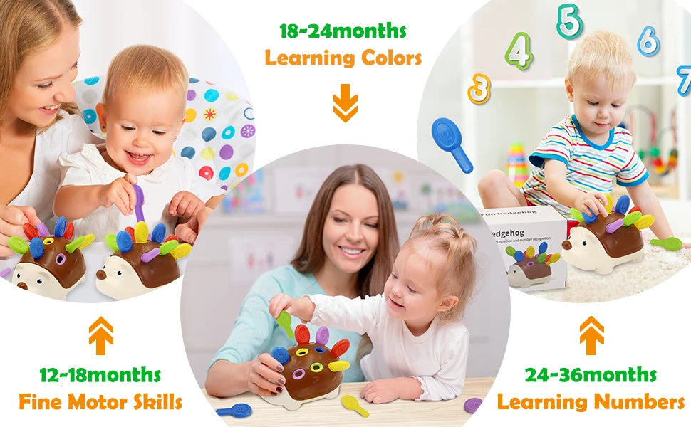 Hedgehog Montessori Fine Motor Skills Toy for Toddlers