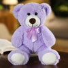 Cute Bow Tie Plush Bear Teddy with Colorful Design