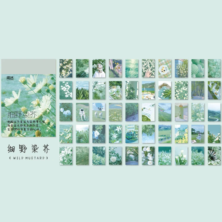 A collection of 50 aesthetic landscape nature and art designs for scrapbooking and journaling in a grid format.