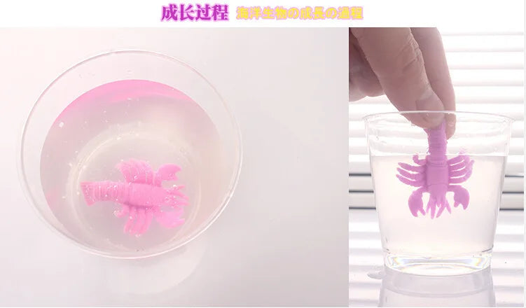 Ocean Animal Water Growing Toys for Kids