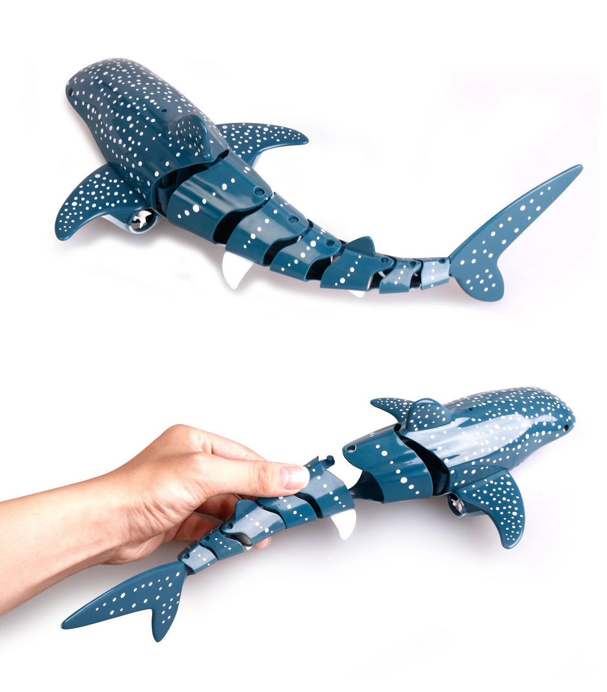 Remote Control Shark Toy with Water Spray