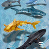 Remote Control Shark Toy with Water Spray