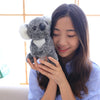 A young woman is holding a gray koala plush toy against her chest in a bright indoor setting.