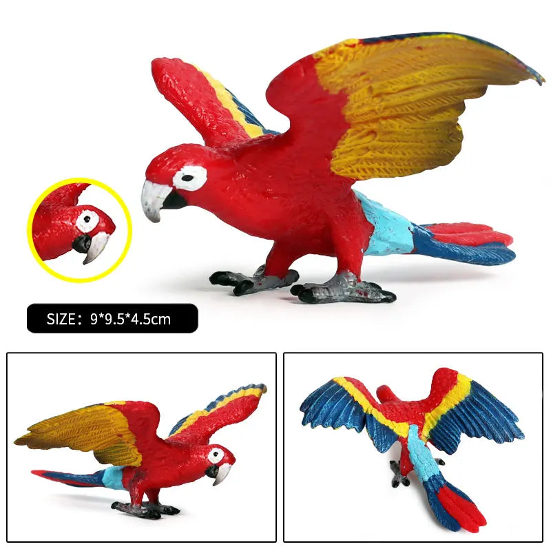 Realistic Bird Figurine Set – Educational PVC Models for Kids and Collectors