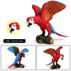 Realistic Bird Figurine Set – Educational PVC Models for Kids and Collectors