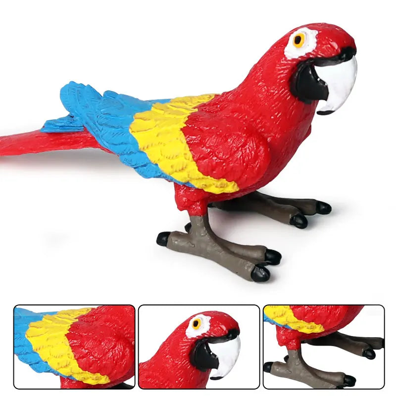Realistic Bird Figurine Set – Educational PVC Models for Kids and Collectors