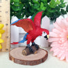 Realistic Bird Figurine Set – Educational PVC Models for Kids and Collectors
