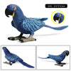 Realistic Bird Figurine Set – Educational PVC Models for Kids and Collectors