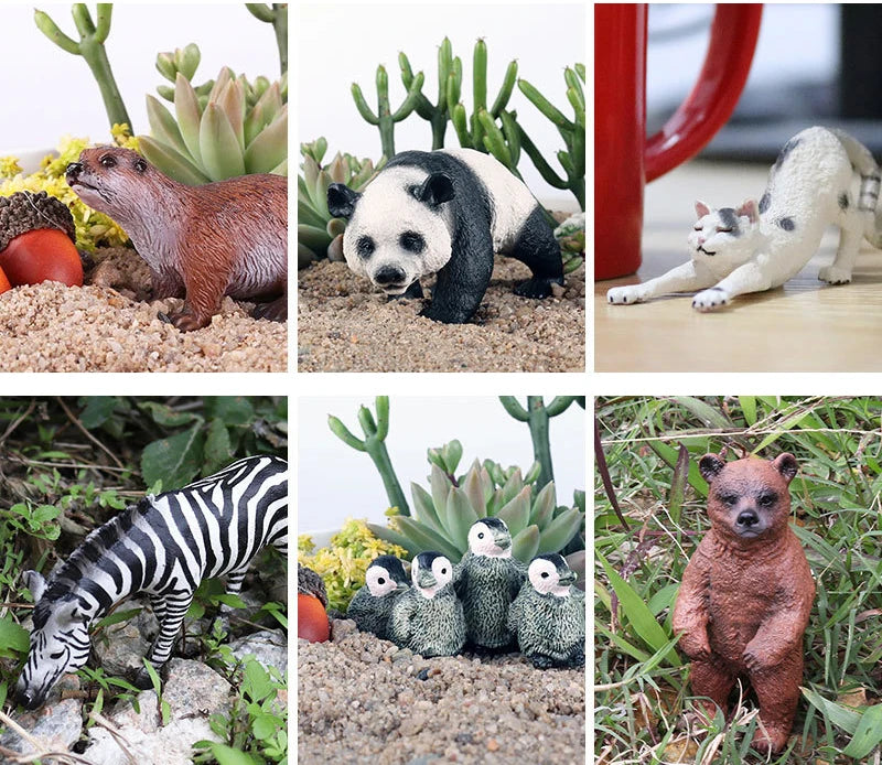 A set of animals and plants including a meerkat, panda, cat, zebra, and various succulents.