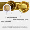 Gold-Plated Metal Kazoo with 5 Replacement Films
