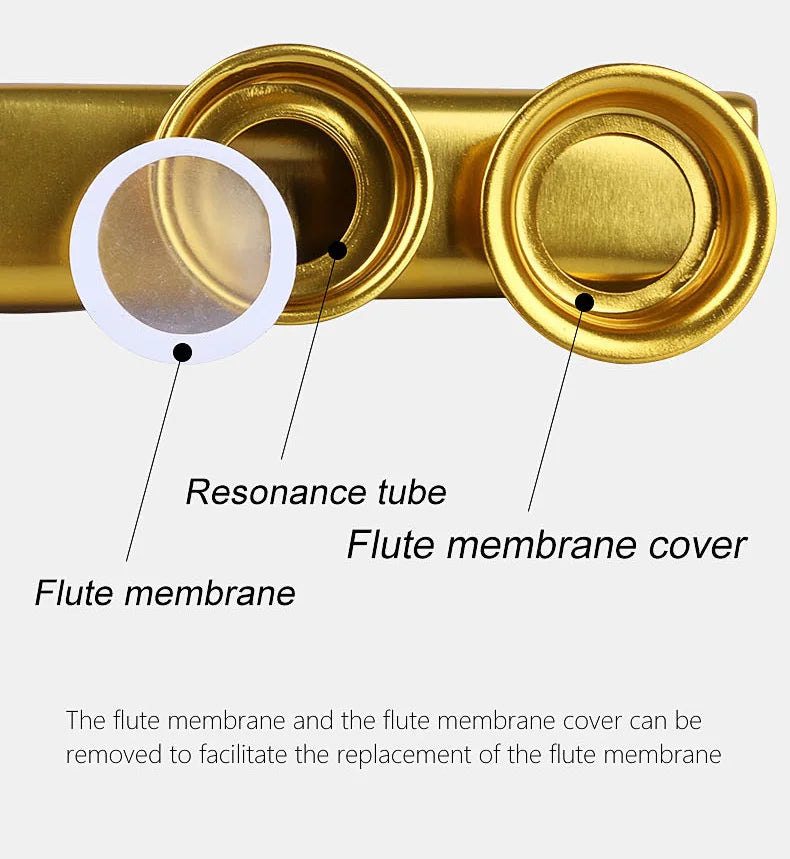 Gold-Plated Metal Kazoo with 5 Replacement Films