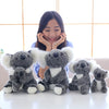 A collection of gray and white koala plush toys sitting on a white surface.