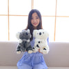 A young woman sits on a couch holding two plush koala toys, one gray and one white.
