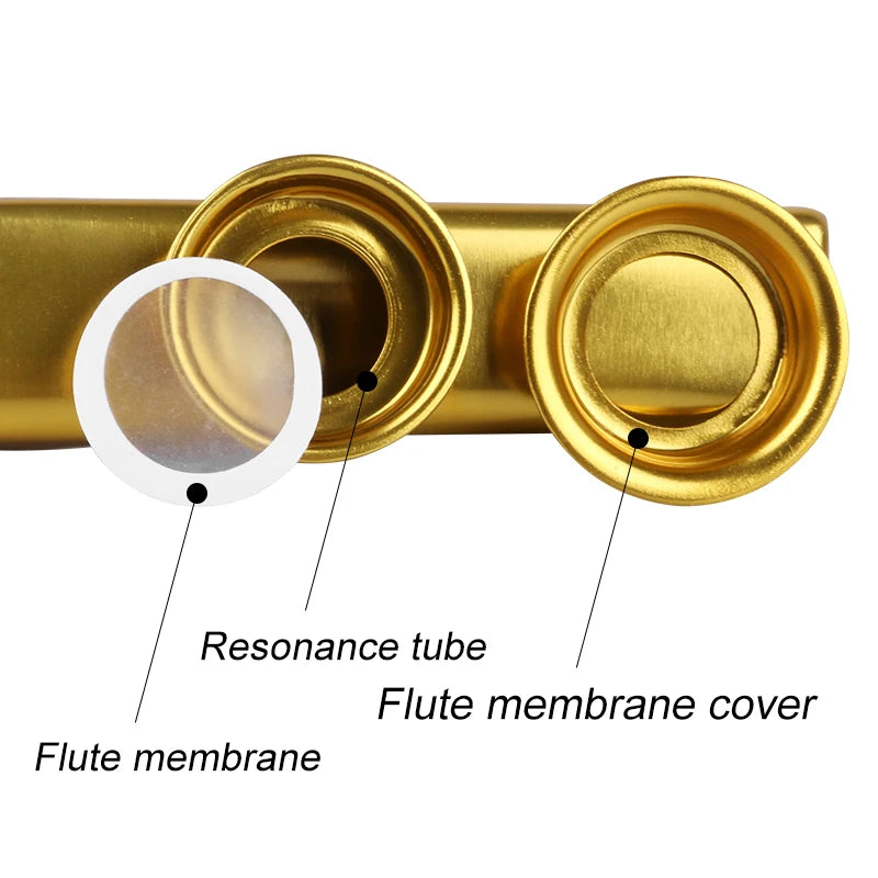 Gold-Plated Metal Kazoo with 5 Replacement Films