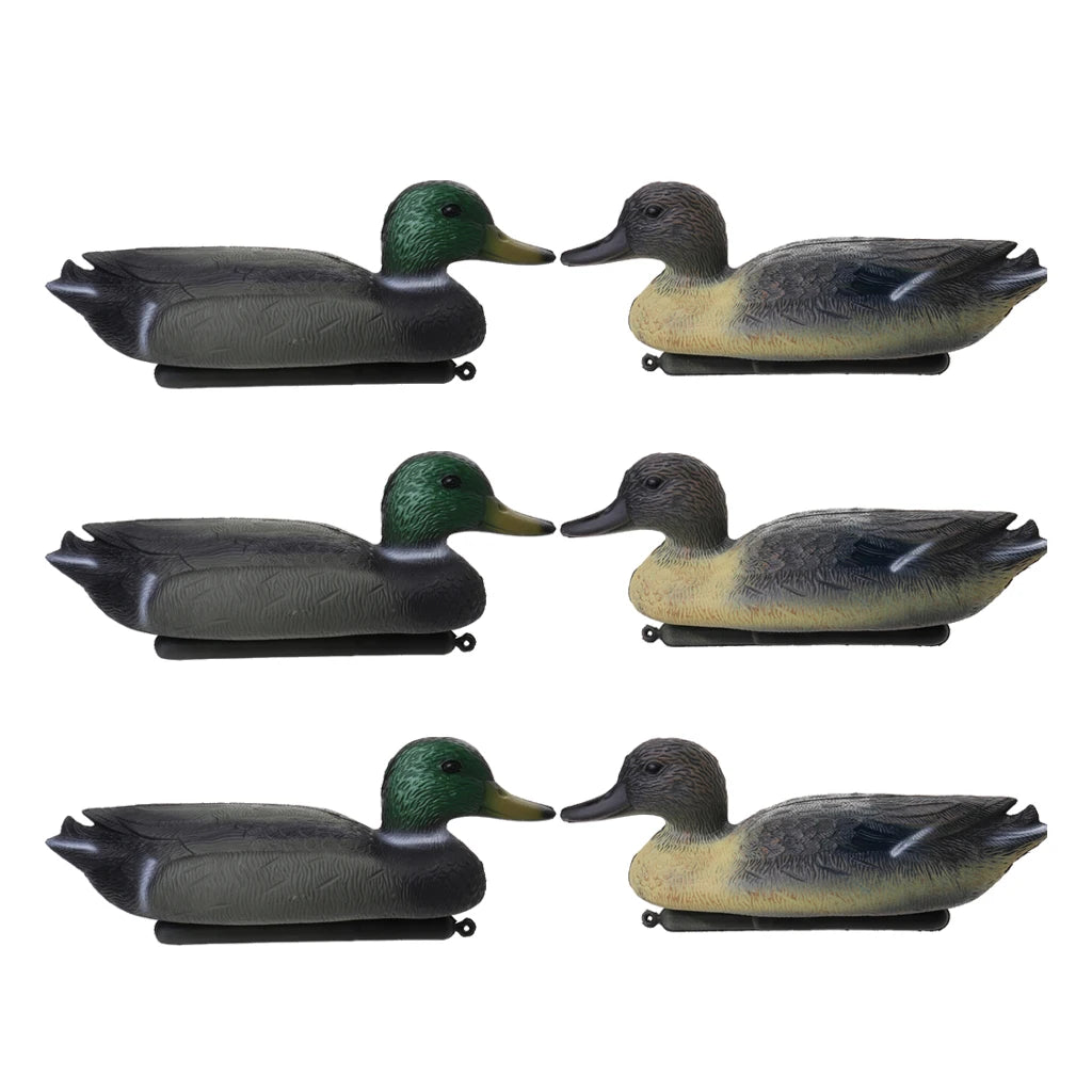 Six lifelike floating duck decoys with keels for hunting and photography