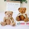 A fluffy brown teddy bear plush toy sitting next to a box with a paper bag and a book.