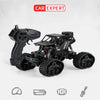 Black D combined with rock climbers new true color 4WD remote control stunt car