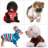 A collection of three fluffy dogs, including a black poodle, a light brown toy dog, and a white fluffy dog.