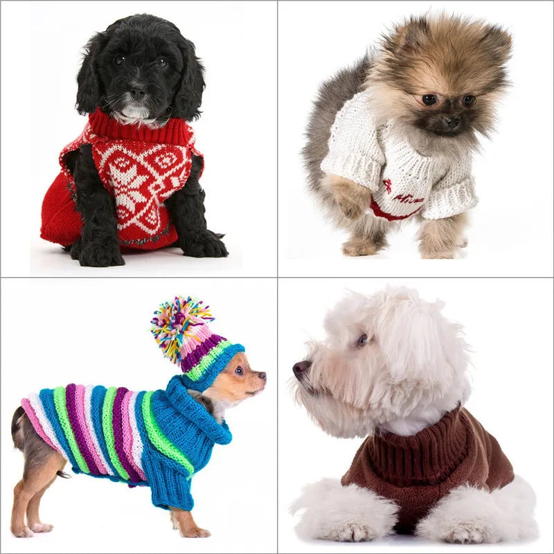 A collection of three fluffy dogs, including a black poodle, a light brown toy dog, and a white fluffy dog.