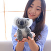 A young woman is holding a gray koala plush toy with white fur against a bright window background.