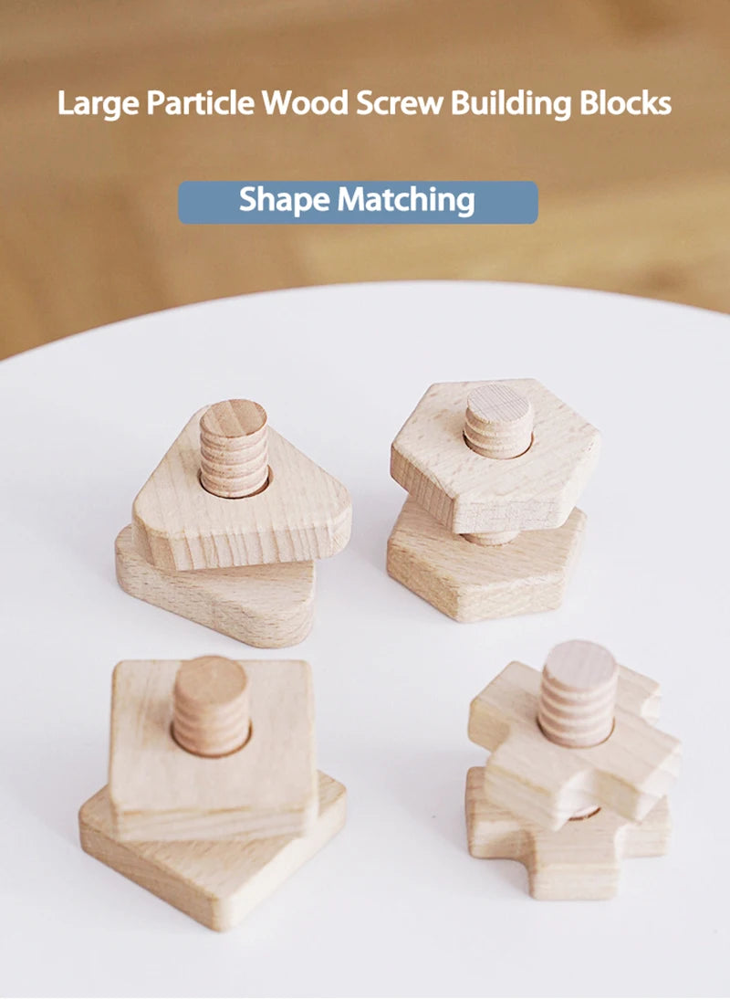Set of large particle wood screw building blocks demonstrating shape matching for toddlers