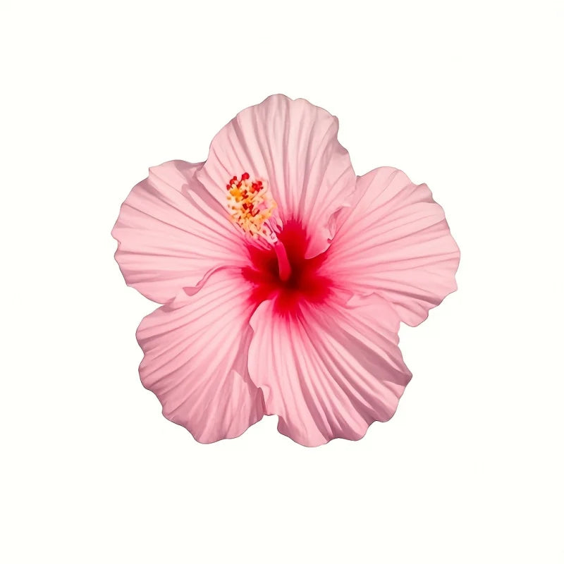 Hibiscus Flower Silicone Mold Set for Cake, Chocolate, Candle & Resin Crafting