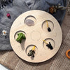 A wooden circular learning set featuring various insects and plant life stages, including a moth, beetle, and frog.