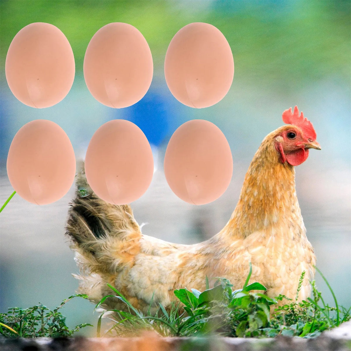 A brown hen stands near several smooth, pink plastic eggs in a natural outdoor setting.