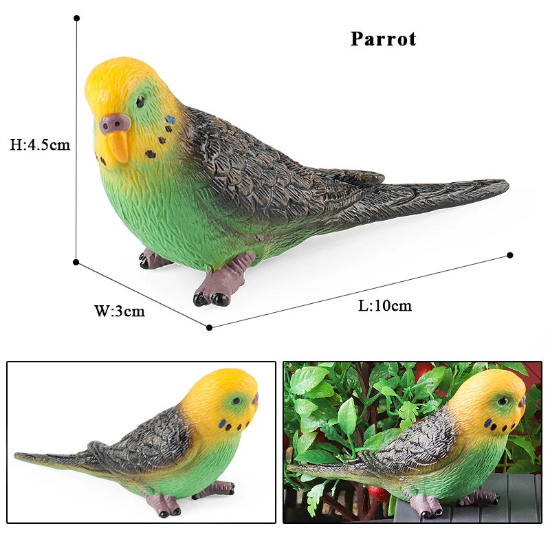 Realistic Bird Figurine Set – Educational PVC Models for Kids and Collectors