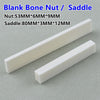 White blank bone nut and saddle pieces shown side by side