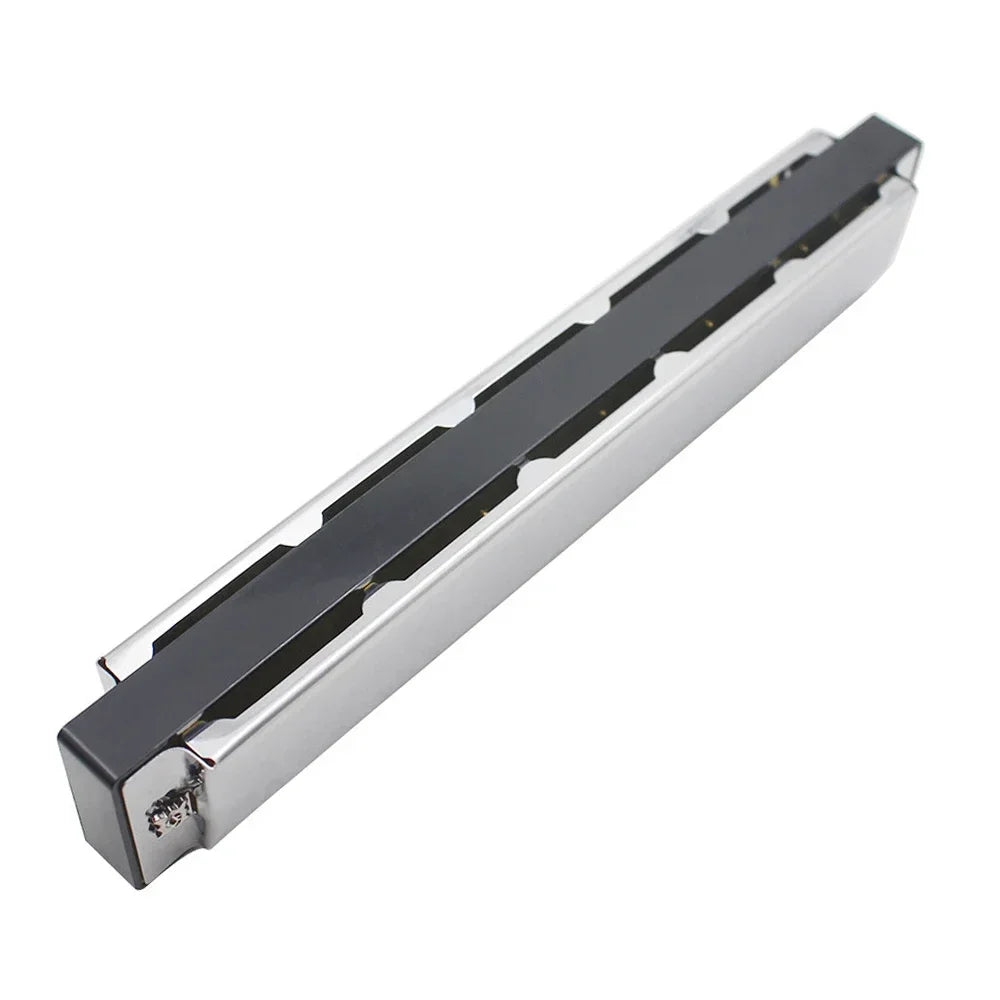 Silver 24-hole tremolo harmonica in C with a protective case shown from the side.
