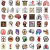 A collection of 50 scientific anatomy illustrations and diagrams featuring human organs, skeletal structures, and brain cross