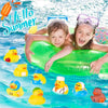 Classic Rubber Duckies – Fun for Bath, Parties & Jeep Ducking