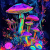 Lebendige Illustration verschiedener Pilze in Neon- und tiefen Juwelentönen vor dunklem Hintergrund.