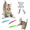 A kitten is playing with a set of magic worm toys on a string.