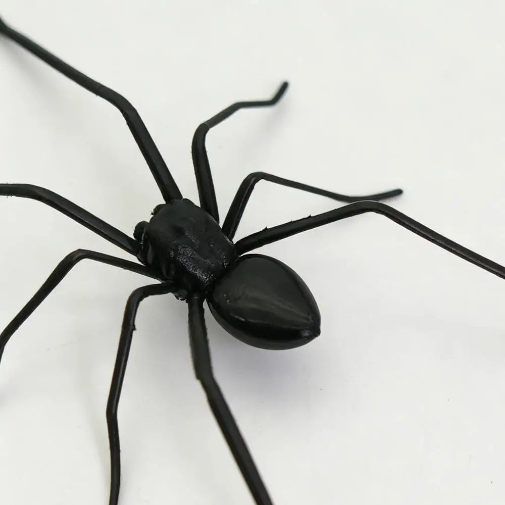 Realistic Spider Fridge Magnet – Fun Prank Decor