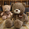 Soft Plush Teddy Bear with Heart Design