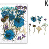 A collection of pressed natural dried flowers in various shades of blue, purple, and white for crafting.