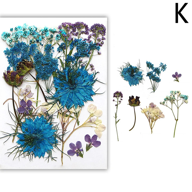 A collection of pressed natural dried flowers in various shades of blue, purple, and white for crafting.