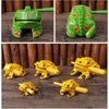 Handcrafted Wooden Frog Guiro Rasp Percussion Instrument