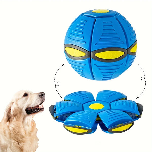 A blue durable pet flying saucer ball toy for dogs is shown next to a golden retriever.