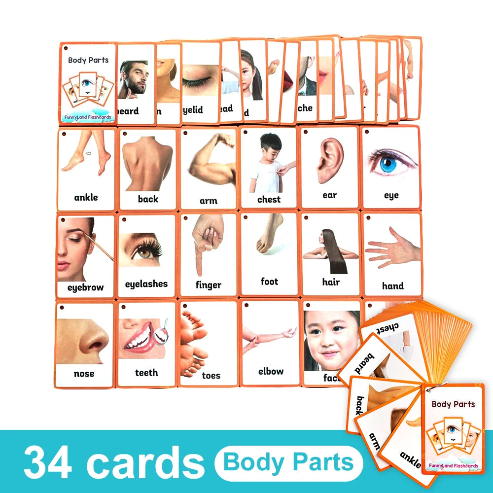 34 body parts flashcards for kids showing various anatomical parts like eyes nose and hand