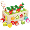 A wooden toy set featuring magnetic radish and vegetable shapes for matching and sorting.
