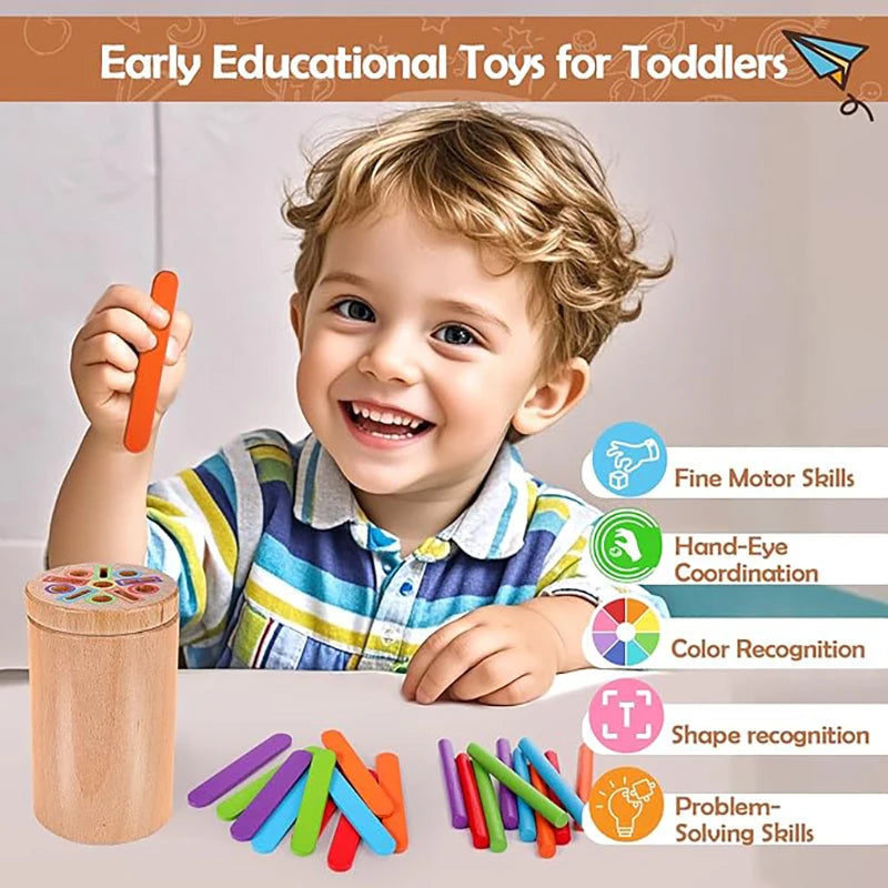 Wooden Montessori Color Sorting & Shape Matching Toy