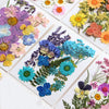 A collection of pressed natural dried flowers in various colors like purple blue yellow and pink arranged on white tiles.
