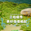 Musical Frog Catching Game with Turntable and Nets