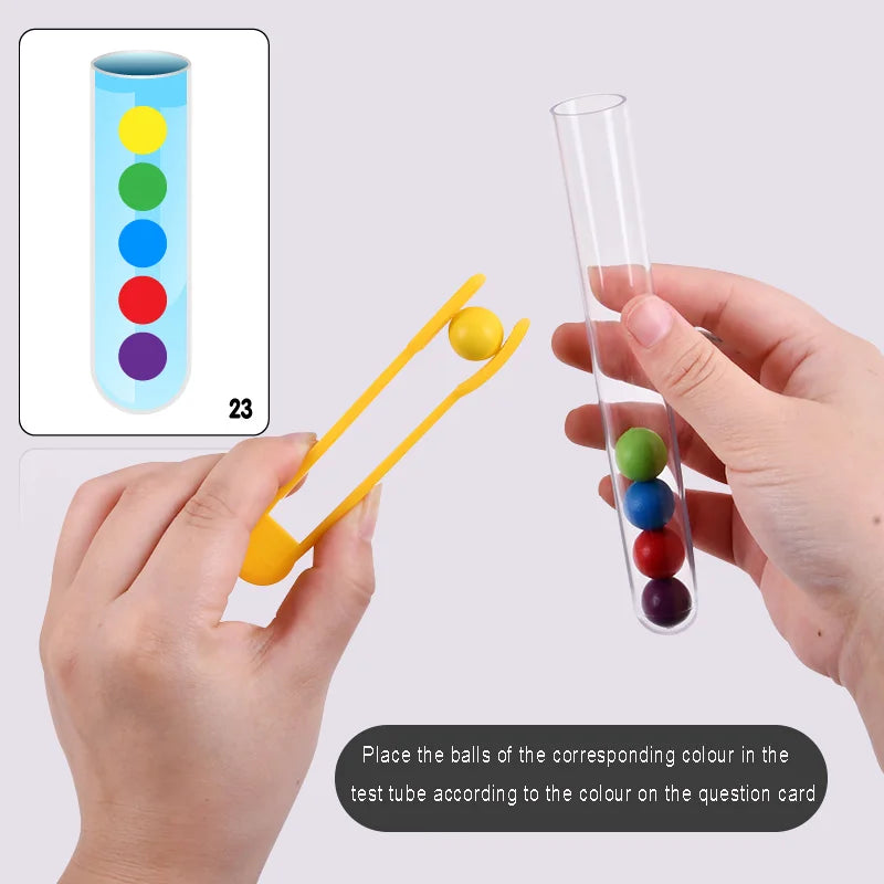 Hands placing colored balls into a test tube according to a color chart for a Montessori game