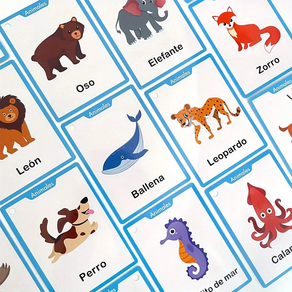 Spanish Vocabulary Learning Flashcards for Kids